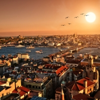 Whirling Turkey, 11 Days