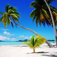 Koh Samui