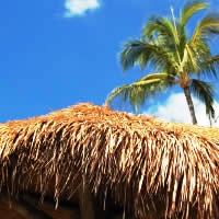 Denarau Flights + 6 Nights, 5-Star