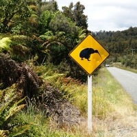 Queenstown Flights, 7 Nights + 7 Days Car Hire