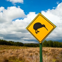 New Zealand Campervan Hire, 7 Days