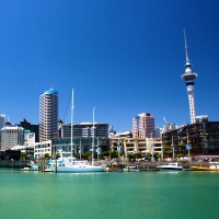 Take in the sights of Auckland