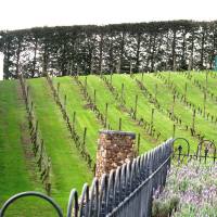 Waiheke Island Getaway, Flights + 3 Nights, 5-Star