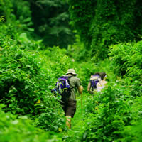 The Kokoda Track, 10 Days