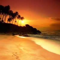 Moorea Island Flights + STAY 5 Nights, PAY 4, 4-Star - Departing Sydney