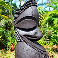 Snorkelling gear, fish food