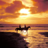 Horse Riding in Bali