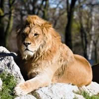 Shongololo Train Journey - The Good Hope Adventure, 13 Days