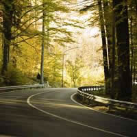 London Car Rental