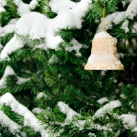 Christmas in the Solvenian Alps, 11 Days