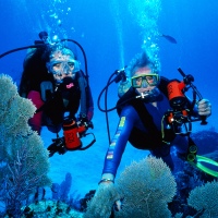 Coral Coast Flights + STAY 7 Nights, PAY 5, 4-star
