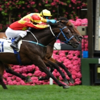 2013 Emirates Melbourne Cup Day