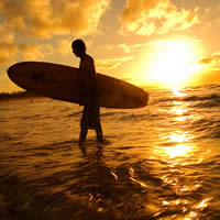Gold Coast, 2 Hour Surf Lesson