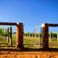 Margaret River Wine & Dine, 3 Nights