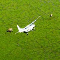 Out of Africa Air Safari 8 Days