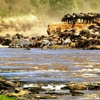 Serengeti Walking Safaris 7 Days