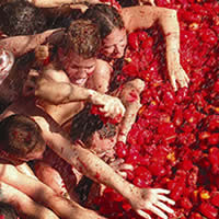 Busabout La Tomatina Hostel Package, 5 Days