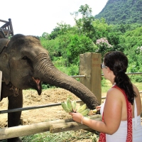 The Big Indochina Adventure 25 Days