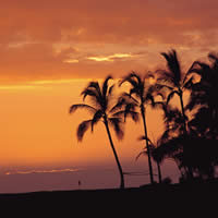 Experience the natural beauty of Hawaii