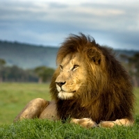 Kenya & Tanzania Camping Safari, 15 Days