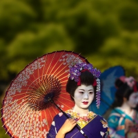 Discover Japan, 14 Days