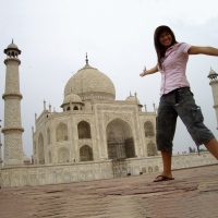 The Taj & Wildlife, 8 Days