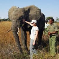 Work with Elephants, South Africa