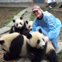 Giant Panda Conservation, China