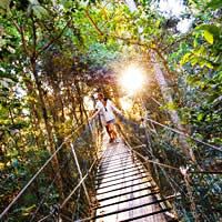 O'Reilly's Rainforest Retreat 3 Nights 4-Star