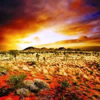 The Colour of Red, 5 Days