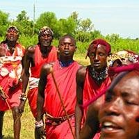 African Drums 21 Days