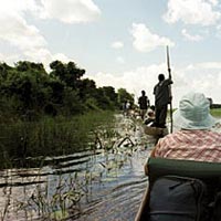 Cape, Delta & Mozambique Explorer 35 Days