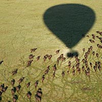 East African Highlights 26 Days