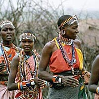 Livingstone's Africa 28 Days