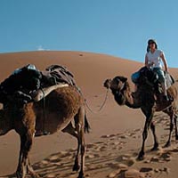 Magical Morocco (Casablanca) 15 Days