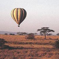Rift Valley Wildlife 13 Days