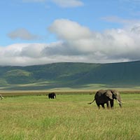 Serengeti & Crater Explored 7 Days