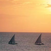 Serengeti, Crater and Zanzibar 14 Days