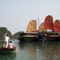 Asian Discovery 22 Days