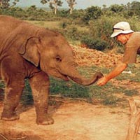 Chitwan National Park 3 Days