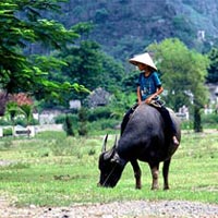 Colours of Vietnam 8 Days