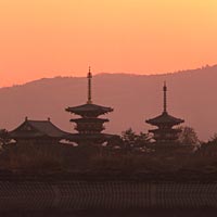 Japan Discovered 13 Days