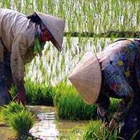 Laos Uncovered 11 Days