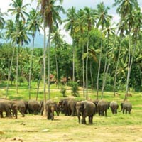 Sri Lanka Revealed 12 Days