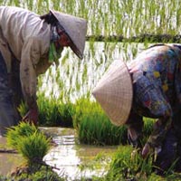 World Heritage South East Asia 18 Days