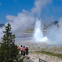 California Treasures & Yellowstone 14 Days