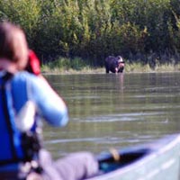 Classic Yukon River - Lake Laberge to Dawson City 20 Days