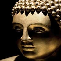 Journey through Sri Lanka, 12 Days