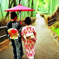 Highlights of Japan 10 Days