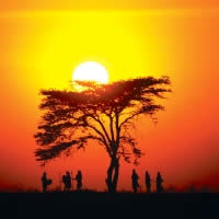 South East Adventure, 31 Days
